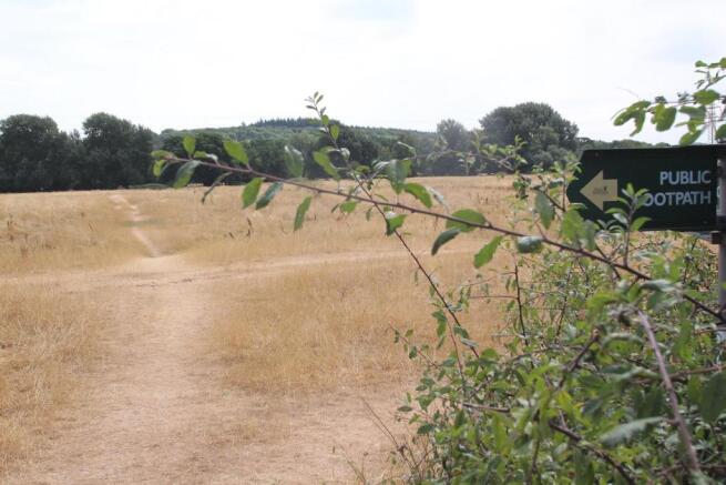 Nearby Countryside.JPG