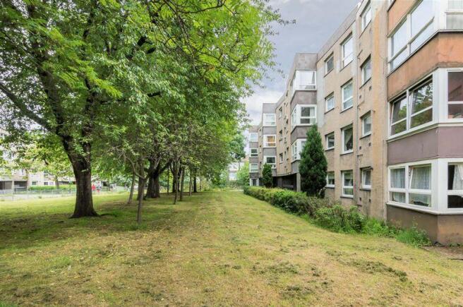 Rear Garden Area