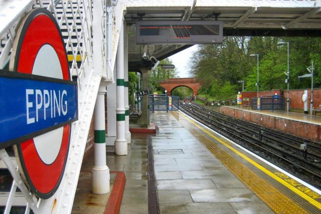 epping-4.jpg
