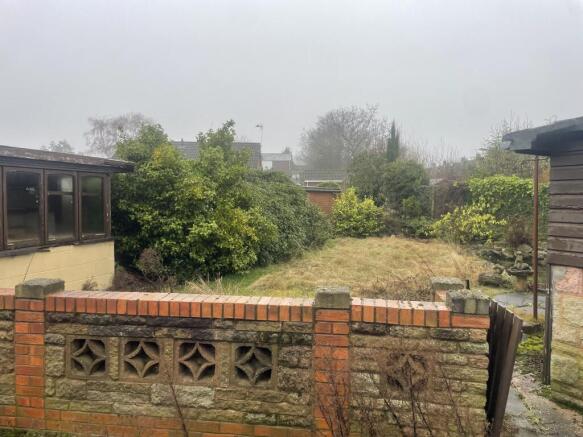 IMG 5956 T202601211317.jpeg