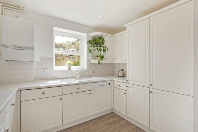 IMG_2280.jpg