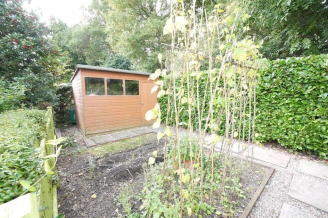 VEGETABLE PLOT