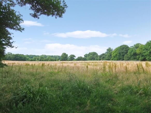 Paddocks Shot 2