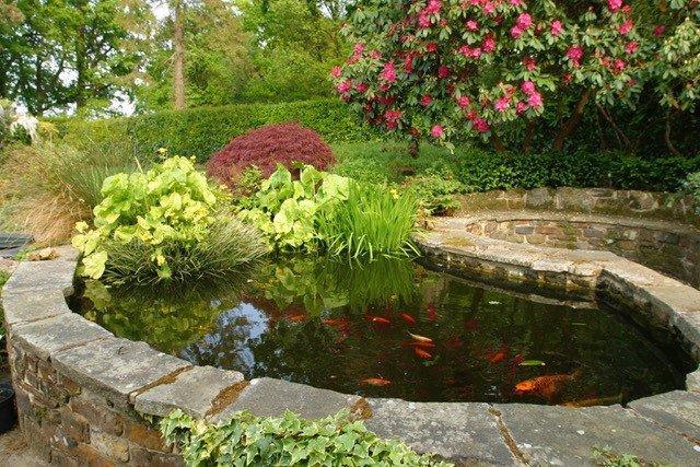 Pond