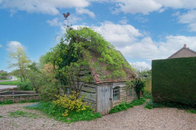Photo 15