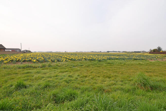 Field Views