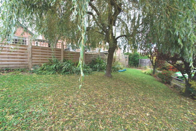 Photo 15