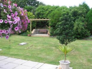 Rear Lawn