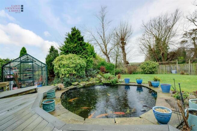 Back garden