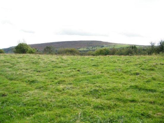 Land 5