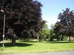 VIEW OF THE GREEN
