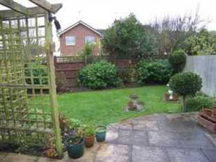 Photo 11
