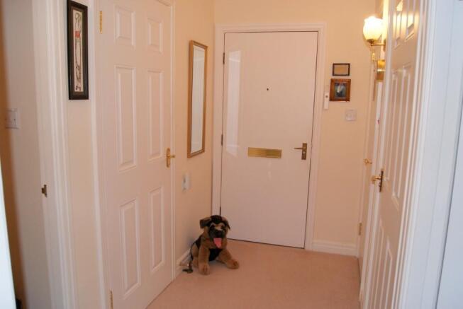 Photo 6