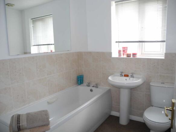 Photo 7