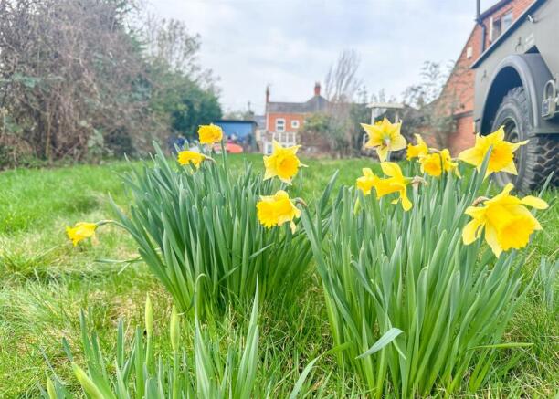 SPRING