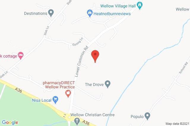 Google Maps Image