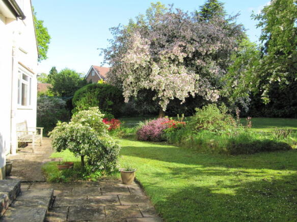 Photo 7