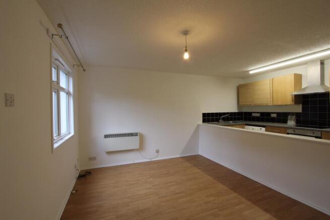 Kitchen/Living Room
