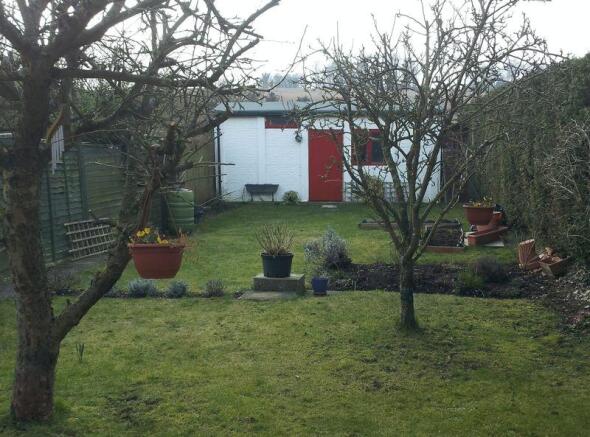 Photo 10
