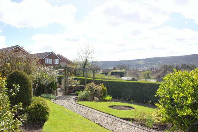 Garden at Back