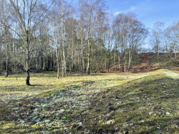 20260217 104859982 IOS  Medium  T202602180907.jpg