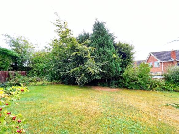 Garden 10.jpg
