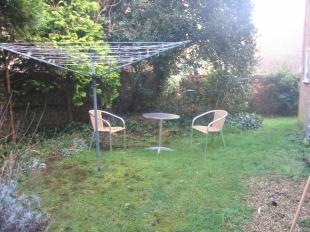 Shared Garden