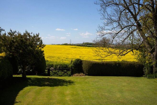 garden & view