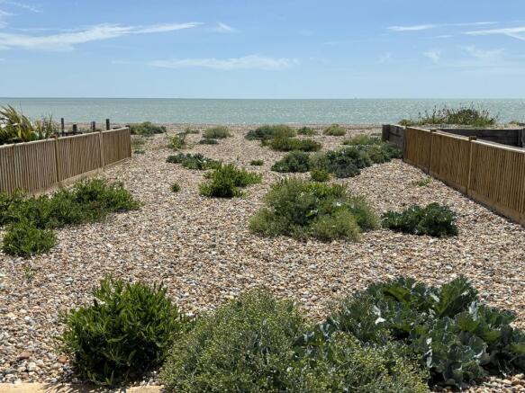 Rear Garden view