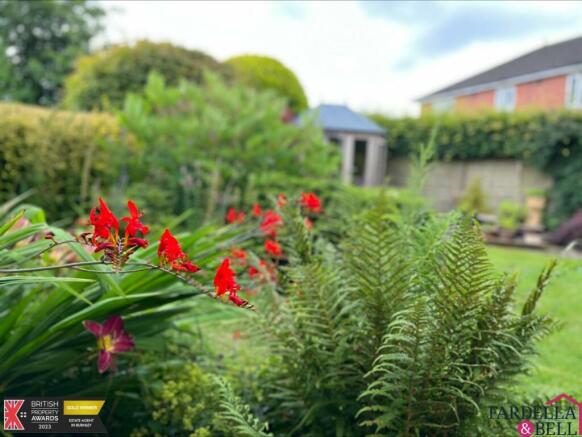 Garden - rear