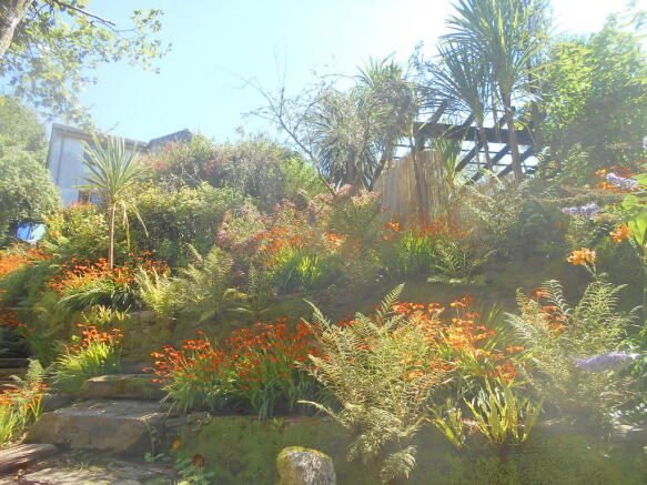 Photo 25