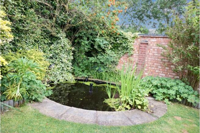 Pond