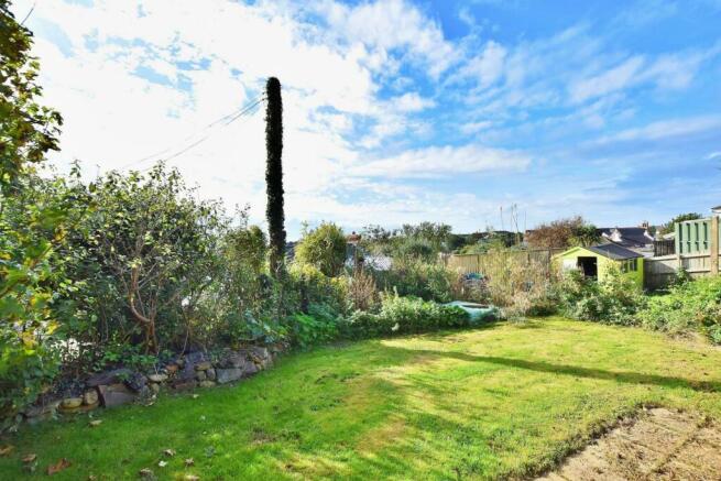 Back Garden 2.jpg