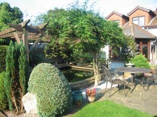 Garden 3