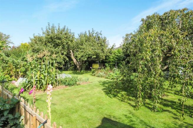 garden.JPG