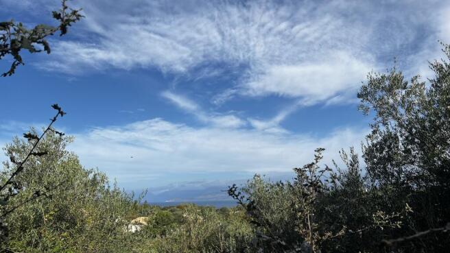 View from plot above