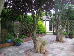 Patio Area