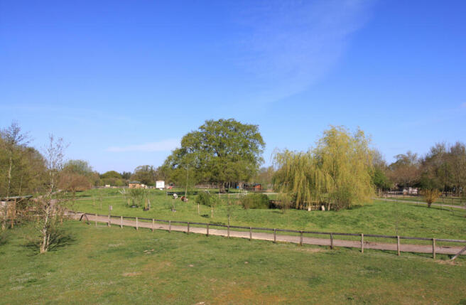 Countryside Views