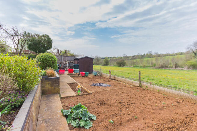 Vegetable Plot