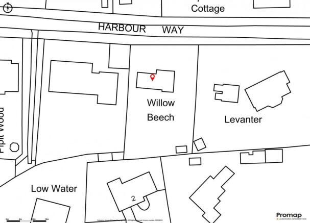 Willow Beech