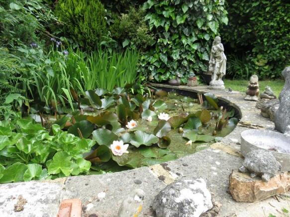 Pond