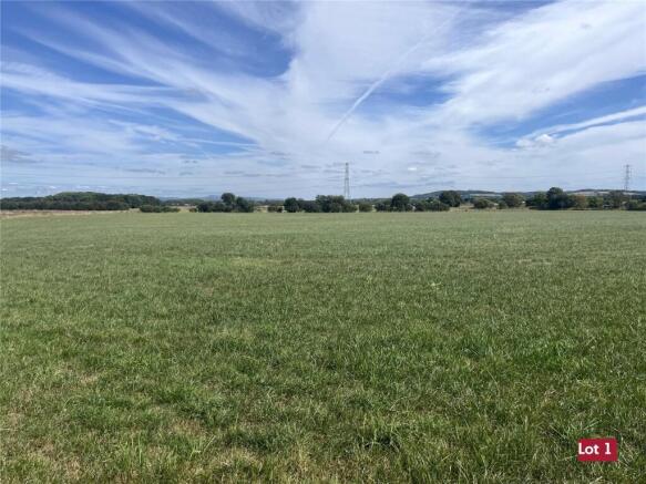 Lot 1