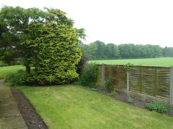 Side Garden