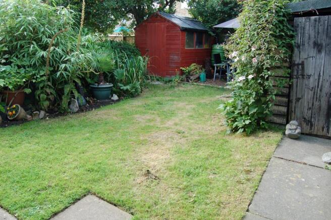 Photo 11