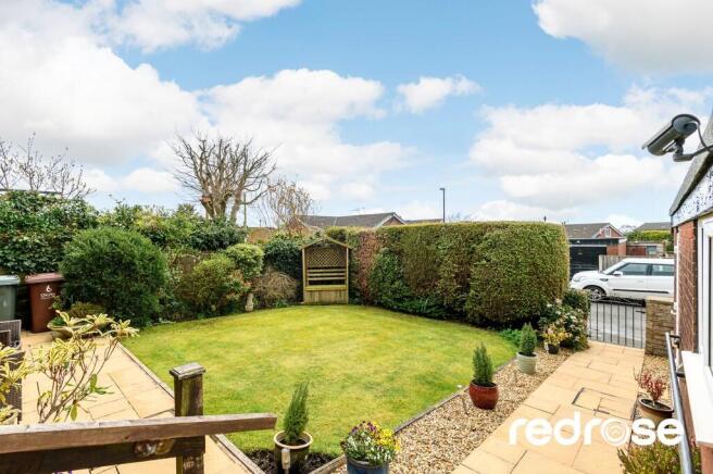 web_6 The Asshawe...