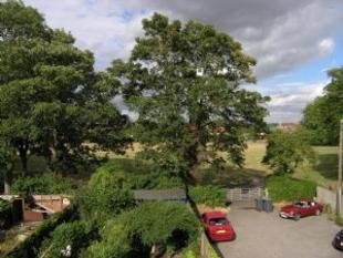 view from loft room