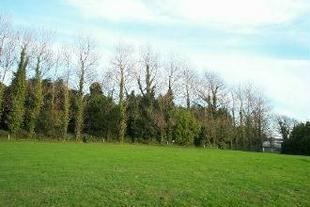 Camp Site 1