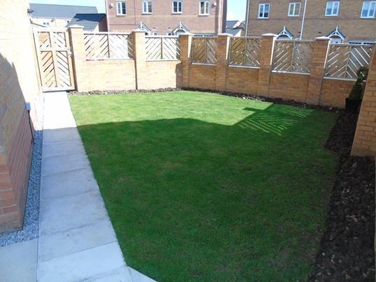 garden