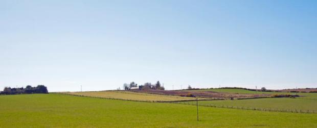 Open Countryside