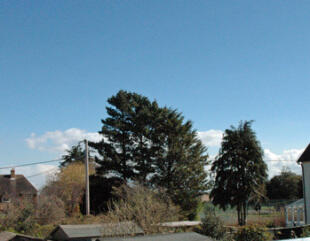 View Two